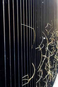 Composition - Street, 2020 (photo) - Cécile Jamet