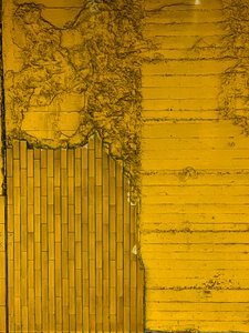 Composition - Texture, 2024 (photo)