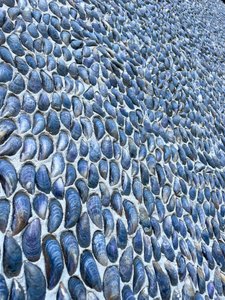 Composition - Texture, 2024 (photo)