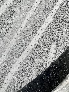 Composition - Texture, 2024 (photo) - Cécile Jamet