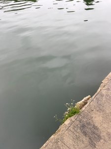 Composition, 2019 (photo)