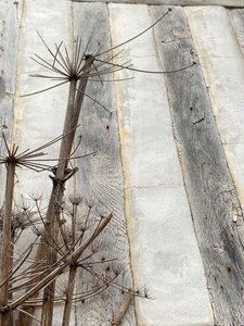 Composition, Architecture 2022 (photo)