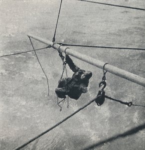 Partie du travail, 1941