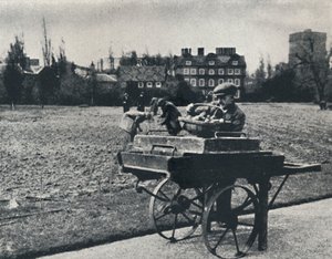 Pommes de terre dans les jardins de Kew, 1941
