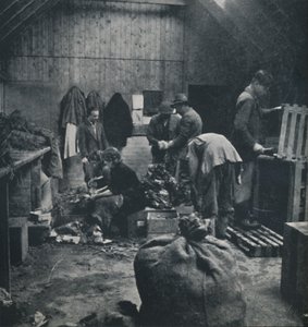 Légumes pour le marché, 1941 - Cecil Beaton