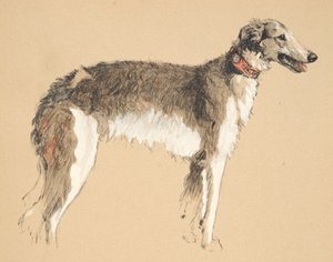 Borzoi, 1930, Illustrations de son carnet de croquis utilisé pour Just Among Friends, publié plus tard par Eyre et Spottiswoode Limited, 1934