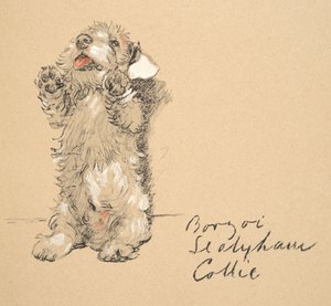Sealyham, 1930, Illustrations de son carnet de croquis utilisé pour Just Among Friends, publié plus tard par Eyre et Spottiswoode Limited, 1934