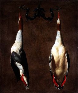 Deux canards sauvages suspendus