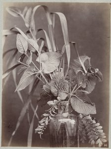 Étude de fleurs avec bouteille en verre - Charles Aubry (manner of)