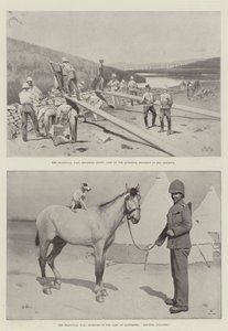 La guerre du Transvaal