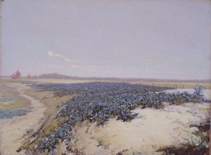 Dunes couvertes de fleurs (huile sur toile) - Charles Augustus Lasar