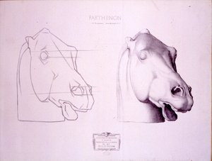 Tête de cheval du fronton ouest du Parthénon, planche 47 du Cours de Dessin, c.1898 - Charles Bargue