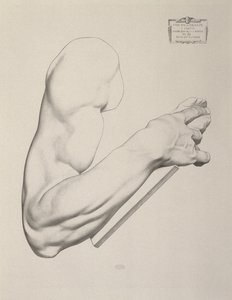 Impression sur papier gris, 1868