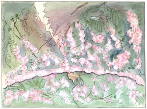 Massenet - Esclarmonde - Décor de Charles Bianchini - 2e acte, 1er tableau, Rideau de roses descendant - dessin de G. Stein, 1889 (c) - Charles Bianchini