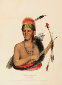 POW-A-SHEEK. UN FOX CHIEF. - Charles Bird King