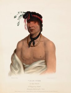 WESH-CUBB. A CHIPPEWAY CHIEF, extrait de History of the Indian Tribes of North America (Histoire des tribus indiennes d