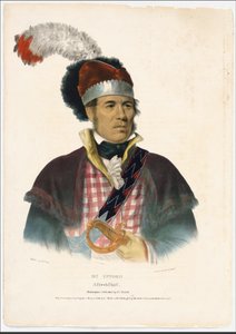 William McIntosh - Charles Bird King