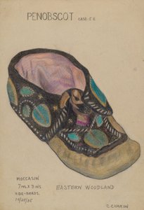Mocassin