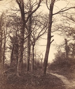 Hiver, 1855