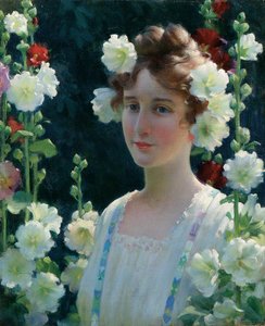 Parmi les roses trémières