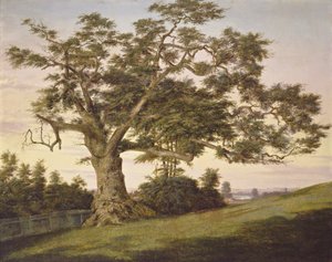 Le Chêne de la Charte - Charles de Wolf Brownell