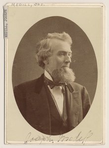 Portrait de Joseph Medill, c.1876