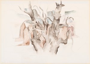 Bermudes - Arbres