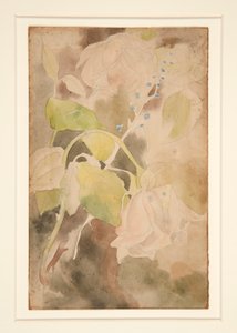 Rose Pêche - Charles Demuth
