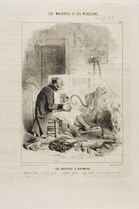 Un Hôpital pour Animaux (plaque 20) - Charles Emile Jacque