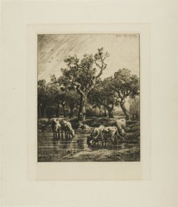 Vaches à un abreuvoir - Charles Emile Jacque