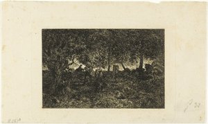 Dans la forêt