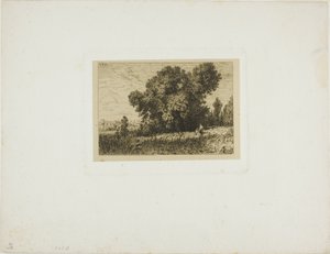 Paysage de l