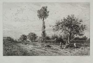 Paysage