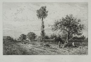 Paysage