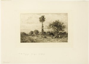 Paysage avec route sinueuse