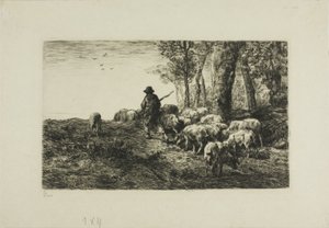 Homme avec un troupeau de cochons