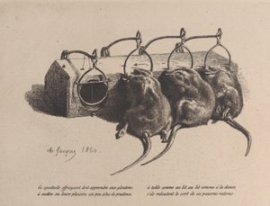 Piège à souris, 1860