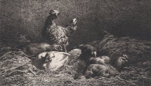 Poules, 1867