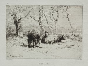 Moutons