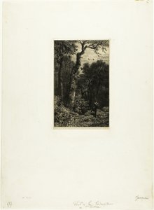 Chasse à la bécasse