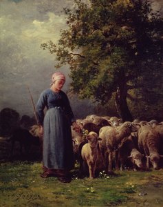 Le troupeau manquant
