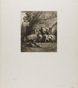 Femme nourrissant six cochons