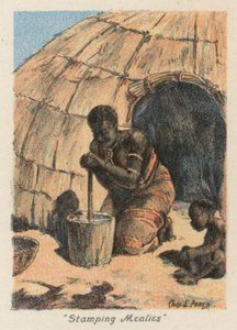 Afrique du Sud: "Stamping Mealies"