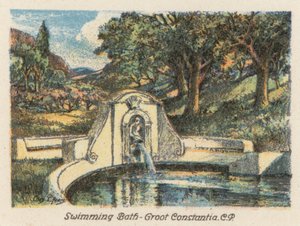 Afrique du Sud : Piscine, Groot Constantia, CP