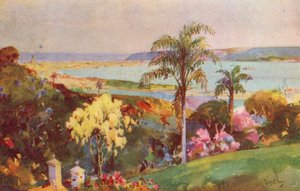 Le port de Natal, Durban (lithographie couleur)