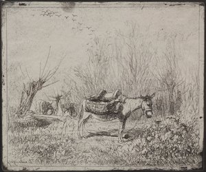 Un âne dans le champ - Charles Francois Daubigny