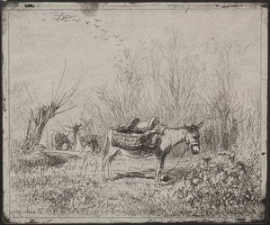Un âne dans le champ, impression originale 1862, imprimée en 1921 - Charles Francois Daubigny