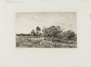 Pommiers à Auvers - Charles Francois Daubigny