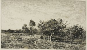 Pommiers à Auvers
