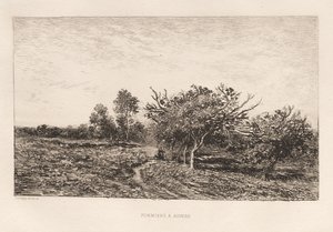 Pommiers à Auvers, 1877 - Charles Francois Daubigny